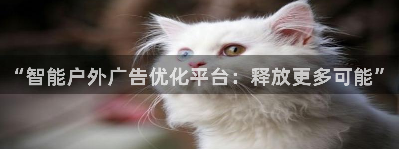 杏宇平台代理多少钱一次：“智能户外广告优化平台：释放更多可能”