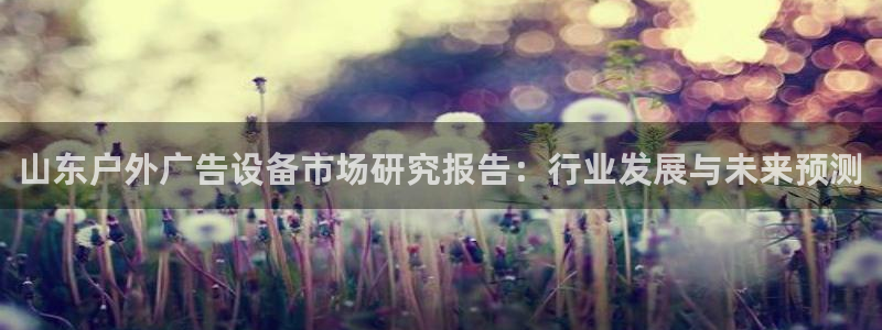 杏宇平台代理怎么赚钱：山东户外广告设备市场研究报告：行业发展与未来预测