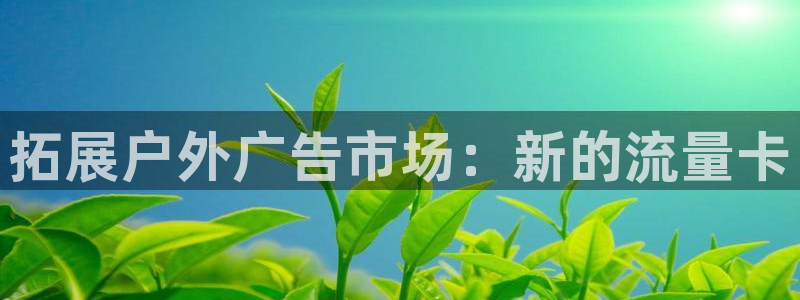 杏宇平台客服：拓展户外广告市场：新的流量卡