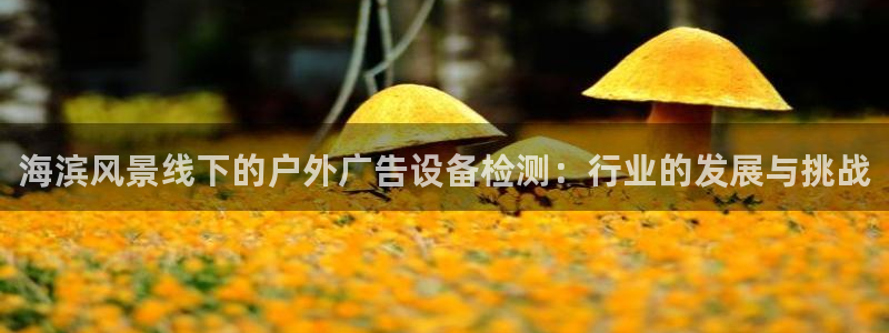 杏宇平台开户：海滨风景线下的户外广告设备检测：行业的发展与挑战