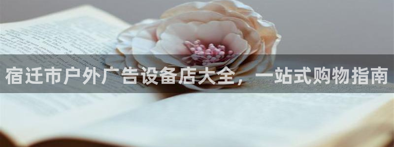 杏宇平台代理怎么样：宿迁市户外广告设备店大全，一站式购物指南