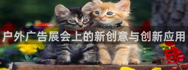 杏宇官方平台官网：户外广告展会上的新创意与创新应用