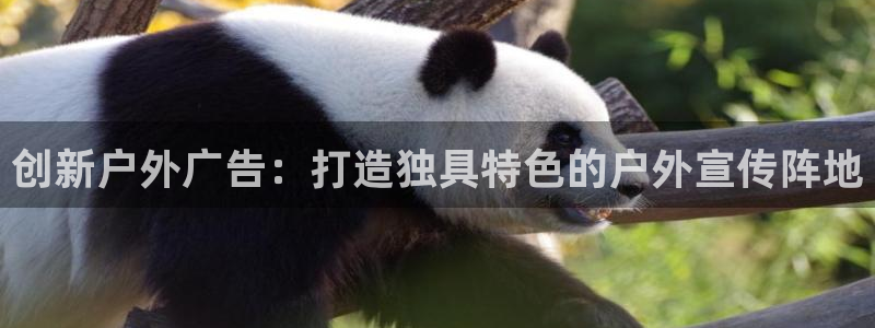 杏宇官方平台官网入口：创新户外广告：打造独具特色的户外宣传阵地