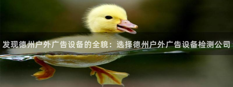 杏宇平台官网注册：发现德州户外广告设备的全貌：选择德州户外广告设备检测公司