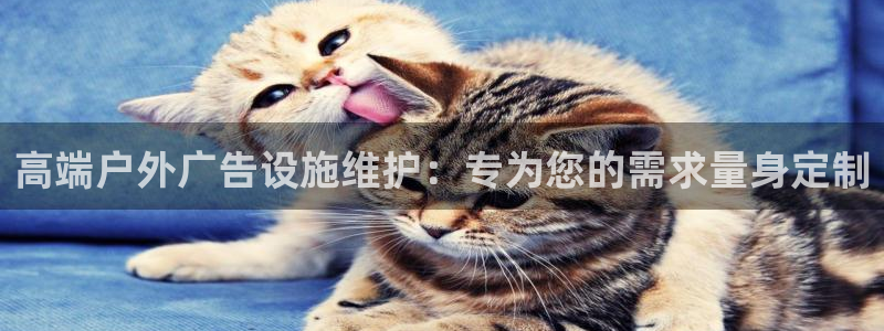 杏宇平台登录步骤：高端户外广告设施维护：